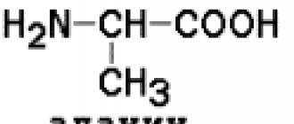 Классификация и строение аминокислот